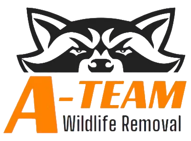 2025-12-30_22h50_57 (1)